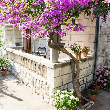 Apartments Bungevilla Dubrovnik Exterior photo