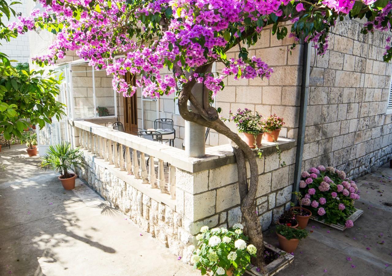 Apartments Bungevilla Dubrovnik Exterior photo